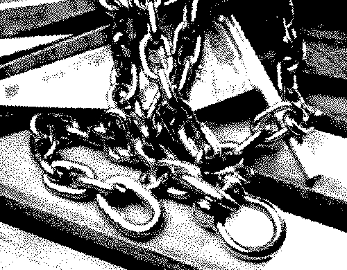 Danforth 3/8X6 Ss Chn W/Shackl - 95226 - 241-95226F1