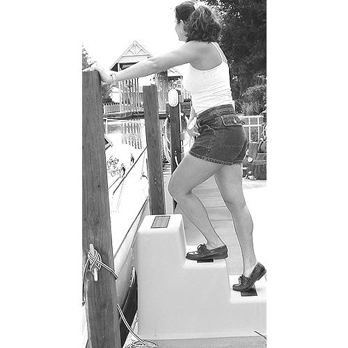 Dock Step-Triple Tread - 47300 - 32-47300F1