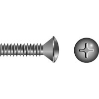Phillips Machine Screw - Oval Head, 1/4