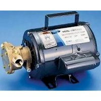 Pump 115Vac 9.5 Gpm - 11810-0003 - 6-118100003F1