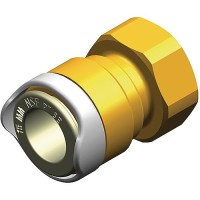 Whale Wx1538B Adaptor Assy - Female 3/8