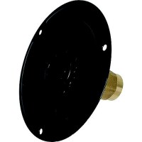 Valterra Brass Check Valve 1/2