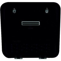 Ge Profile Pmtbrt Black Door For Tankless Gas Water Heater Pr60Ptlwbu - Pmtbrt - 976-Pmtbrtf1